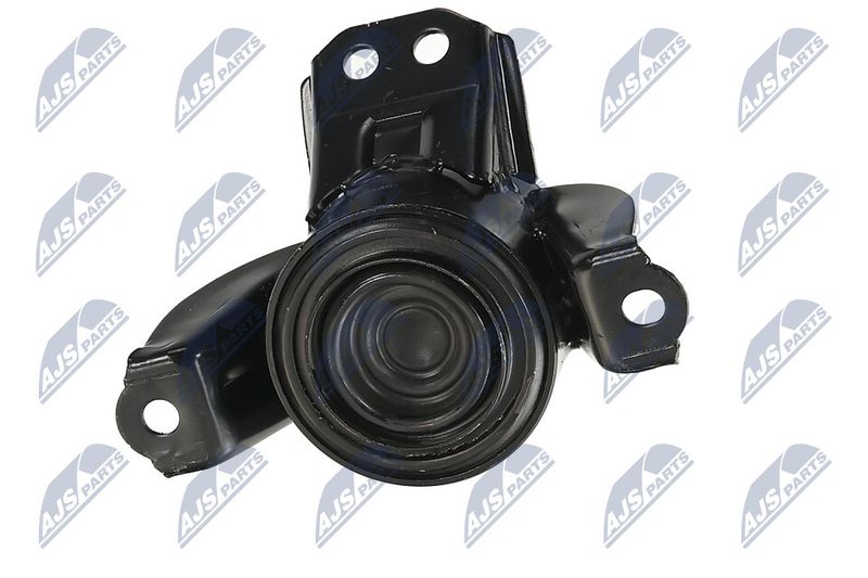 Paigutus, Mootor, NTY ZPS-KA-331