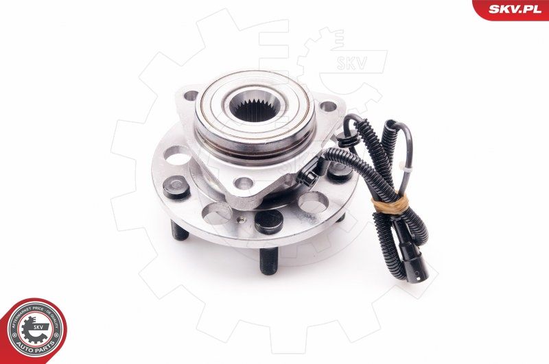 ESEN SKV 29SKV145 Wheel Bearing Kit