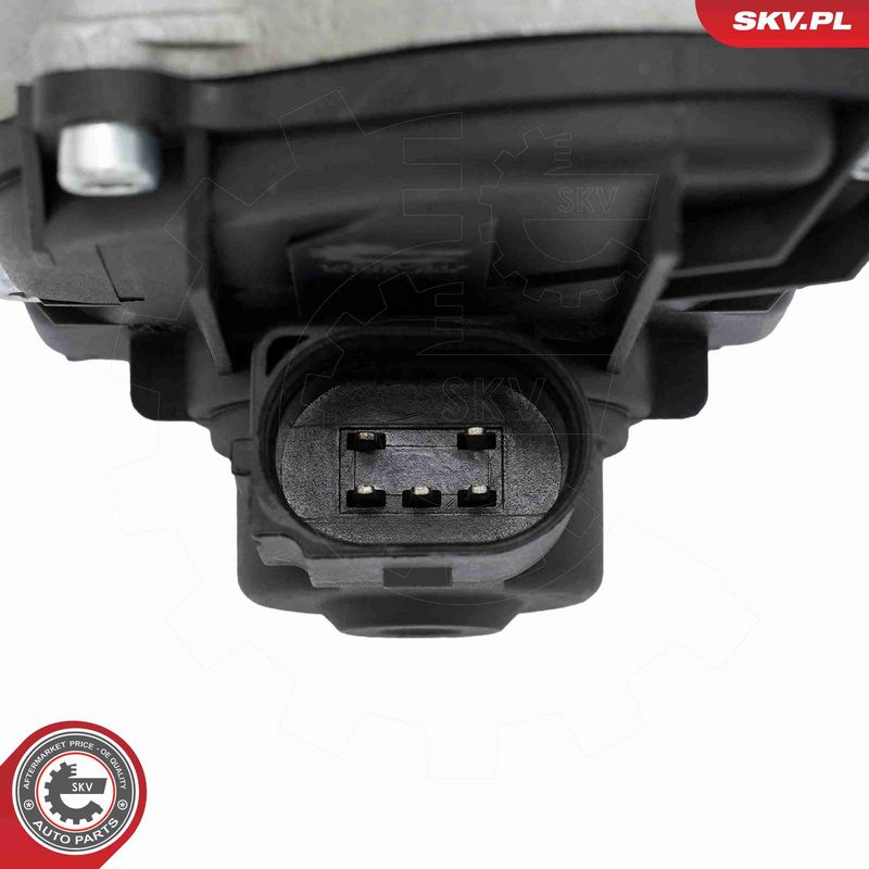 ESEN SKV 14SKV317 EGR Valve