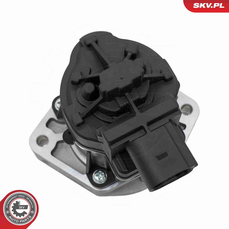 ESEN SKV 14SKV302 EGR Valve