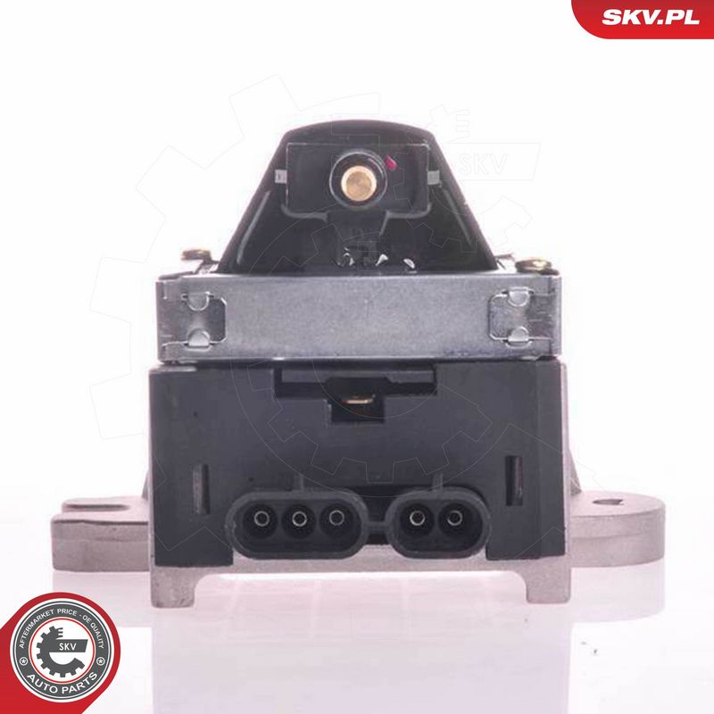ESEN SKV 03SKV189 Ignition Coil