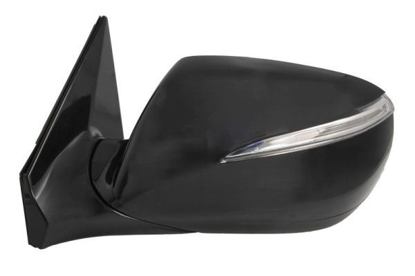 BLIC 5402-20-0556312P Exterior Mirror