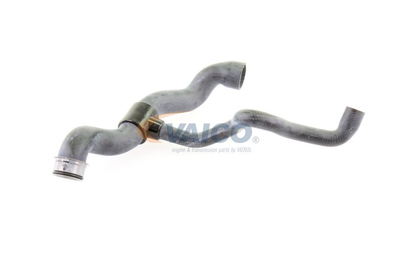 VAICO V30-1660 Radiator Hose
