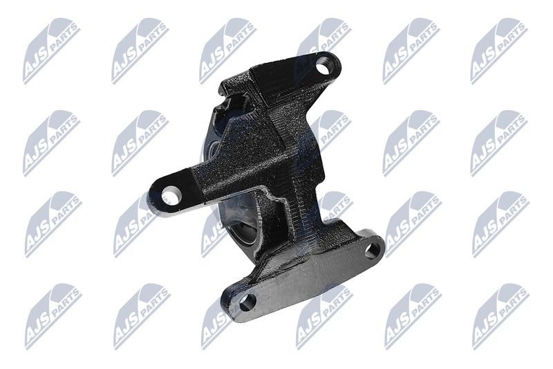 Paigutus, Mootor, NTY ZPS-CH-087