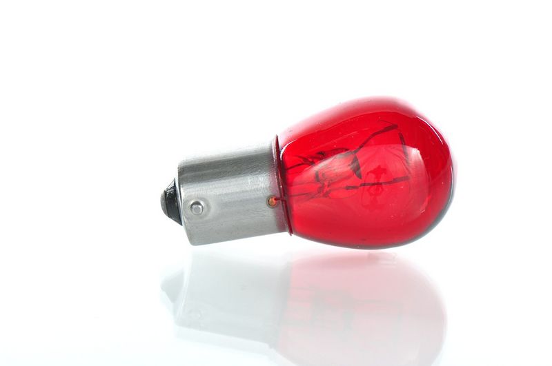 BOSCH 1 987 302 262 Bulb