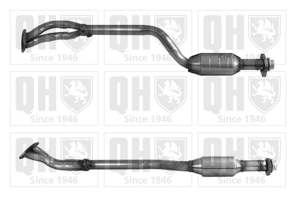 QH_QCAT90418H.JPG
