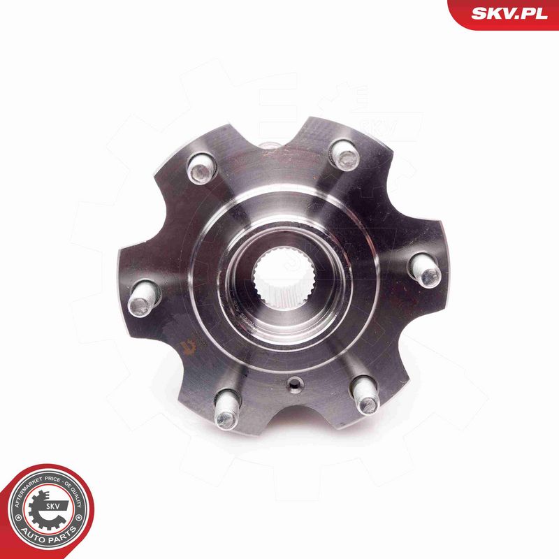 ESEN SKV 29SKV068 Wheel Bearing Kit