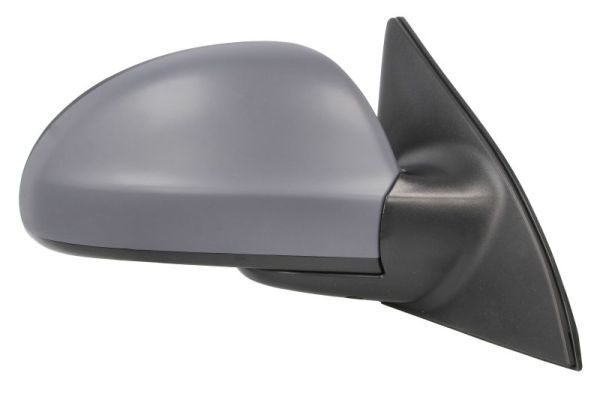 BLIC 5402-53-0636311P Exterior Mirror