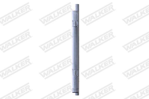 wcd00092_5340836.JPG