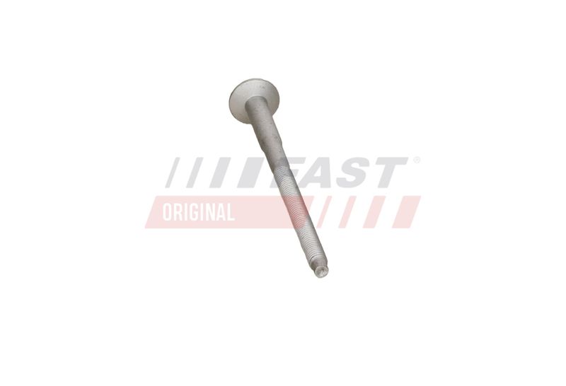 Kruvi, sissepritsedüüsi kinnitus, FAST FT51604