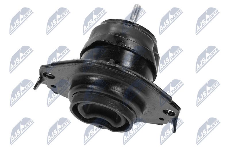 Paigutus, Mootor, NTY ZPS-CH-091