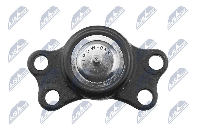 Kande-, juhtliigend, NTY ZSD-DW-056