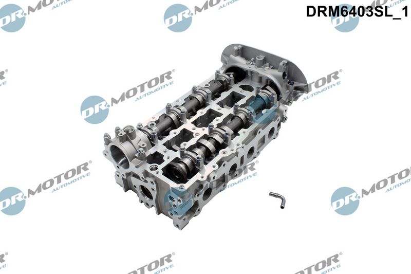 Dr.Motor Automotive Cilindro galvutė