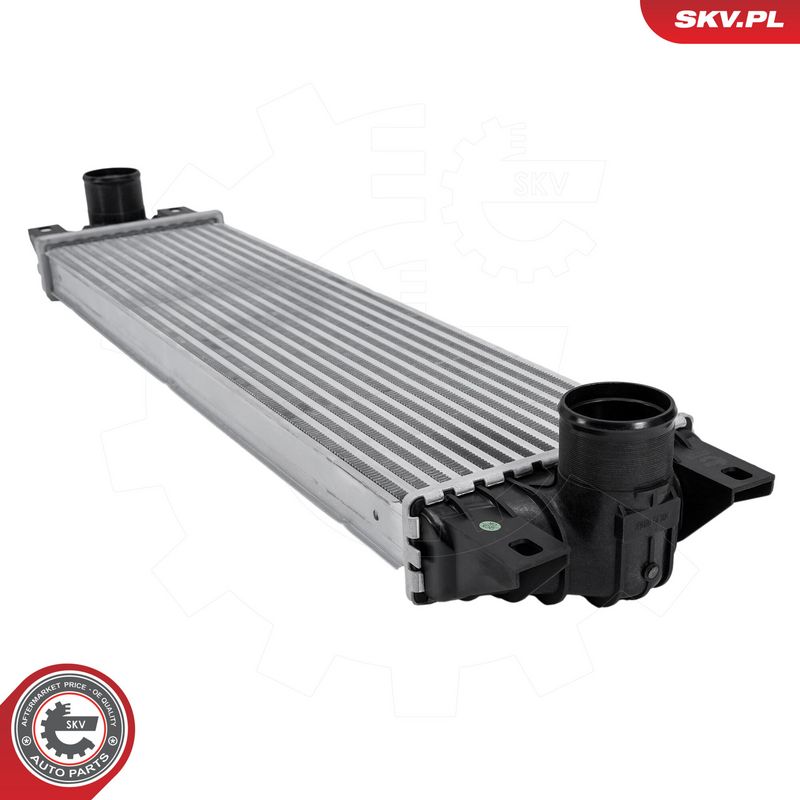 Prekės atitinka OEM kodą: 7701043695