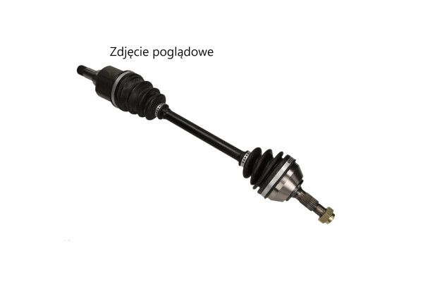 27-0185MG_LARGE.JPG