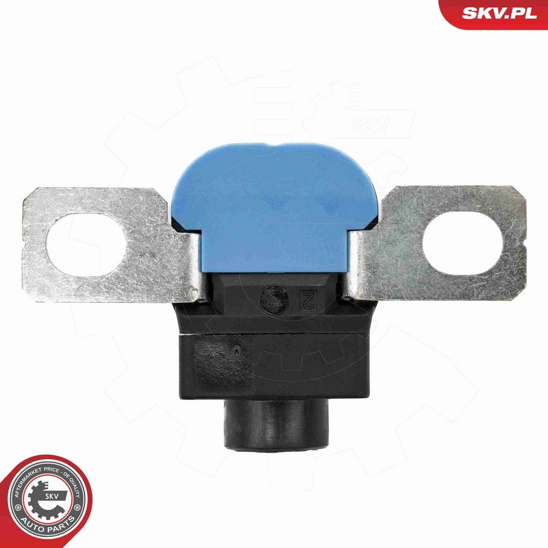 ESEN SKV 96SKV330 Sensor, battery management