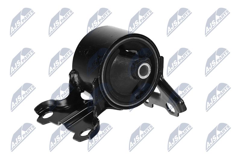 Paigutus, Mootor, NTY ZPS-CH-179