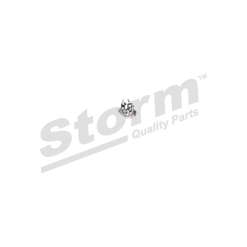 Balai d'essuie-glace STORM QUALITY PARTS 1000550