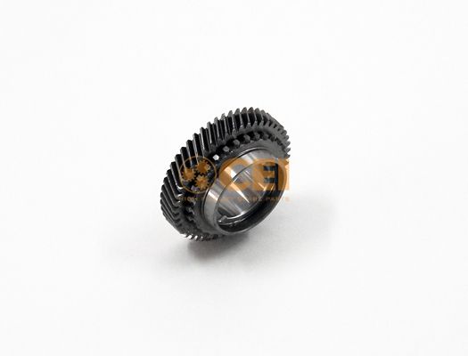 244.634.JPG