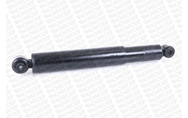 T5455_2975508.JPG