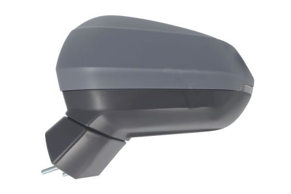 BLIC 5402-25-0067316P Exterior Mirror