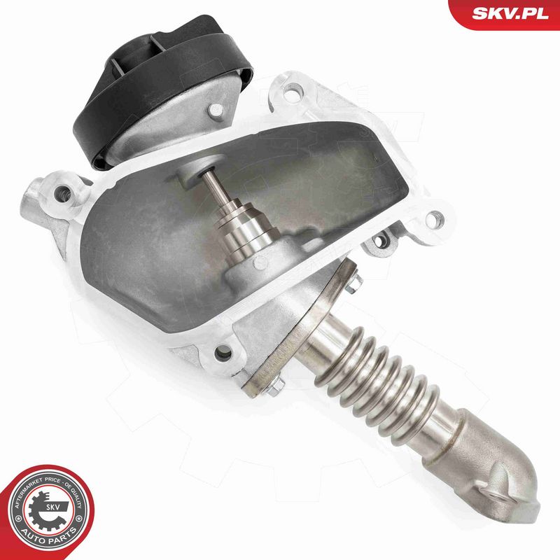 ESEN SKV 14SKV257 EGR Valve