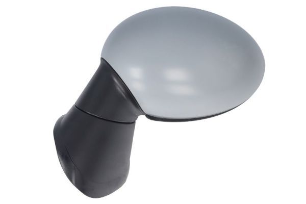 BLIC 5402-05-0884310P Exterior Mirror