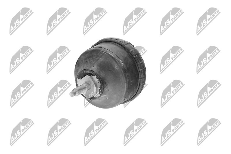 Paigutus, Mootor, NTY ZPS-CH-139