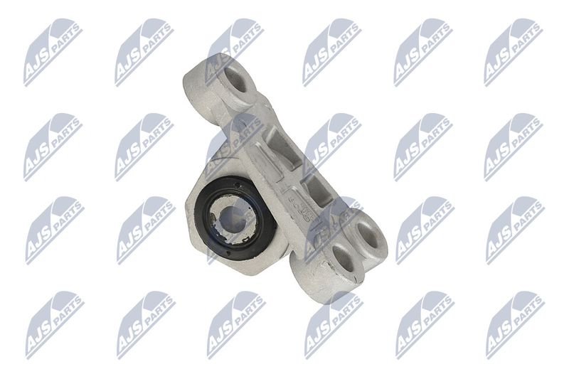 Paigutus, Mootor, NTY ZPS-CH-118