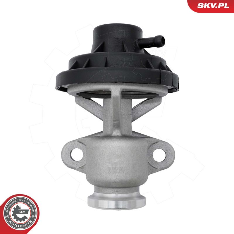 EGR-klapp, ESEN SKV 14SKV291