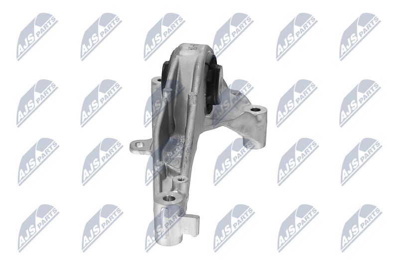Paigutus, Mootor, NTY ZPS-CH-184
