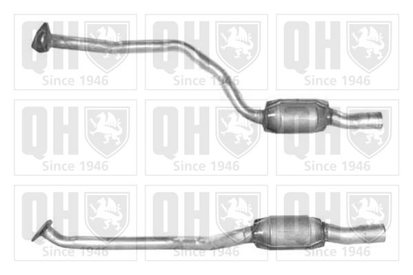 QH_QCAT90805H.JPG