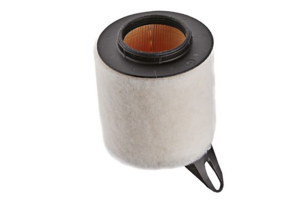 ASAM AUTOMOTIVE 71967 - Oro filtras