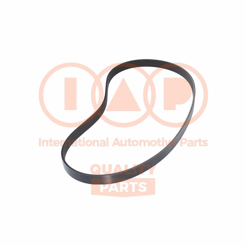 IAP QUALITY PARTS 140-11100 - V-ribbed Belt