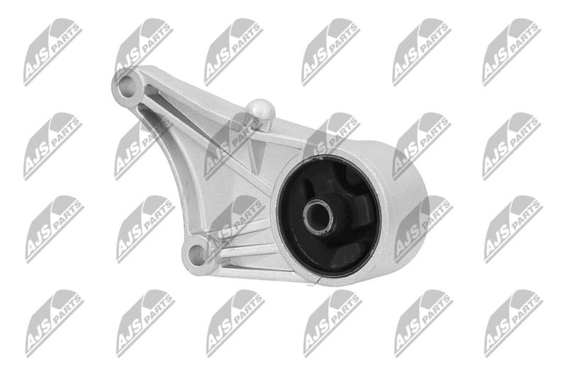 Paigutus, Mootor, NTY ZPS-PL-012
