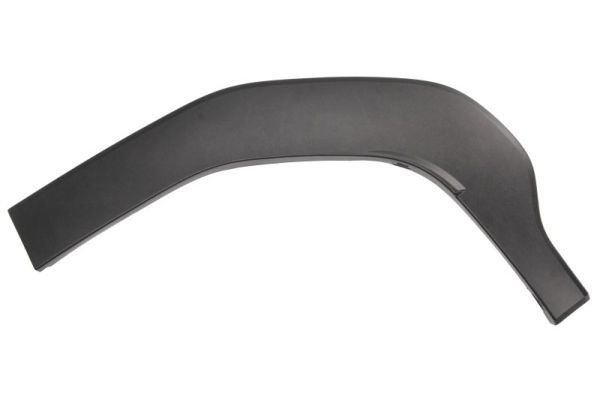 Elemente decorative/protectie, aripa BLIC 5703-04-6742471P