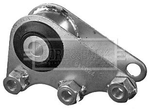 BEM4118_210894.JPG
