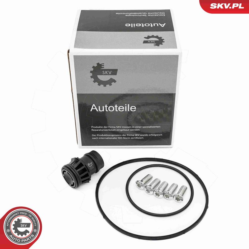 ESEN SKV 18SKV810 Repair Set, vacuum pump (braking system)