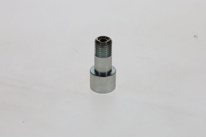 Surub 1 463 456 376 BOSCH