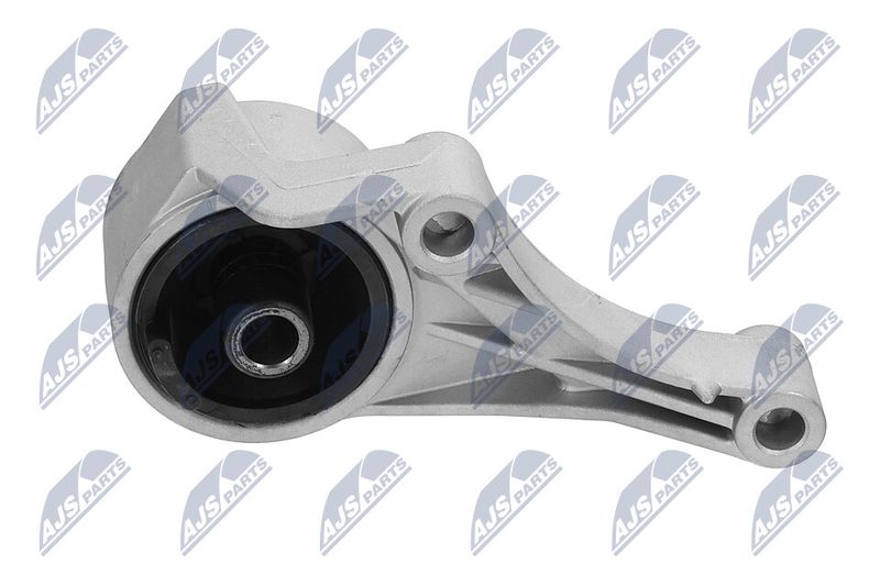 Paigutus, Mootor, NTY ZPS-PL-007