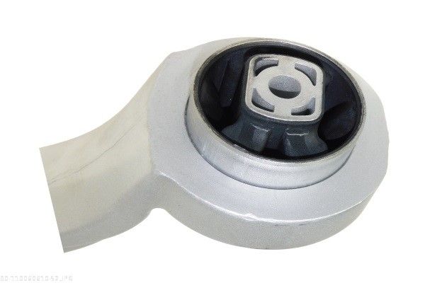 AUTOMEGA 110060610 Control/Trailing Arm, wheel suspension