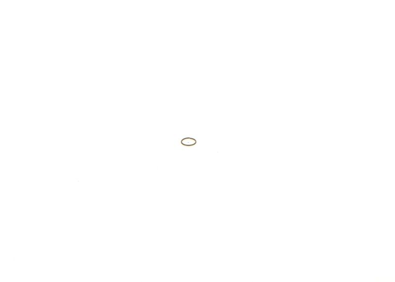 Image 16