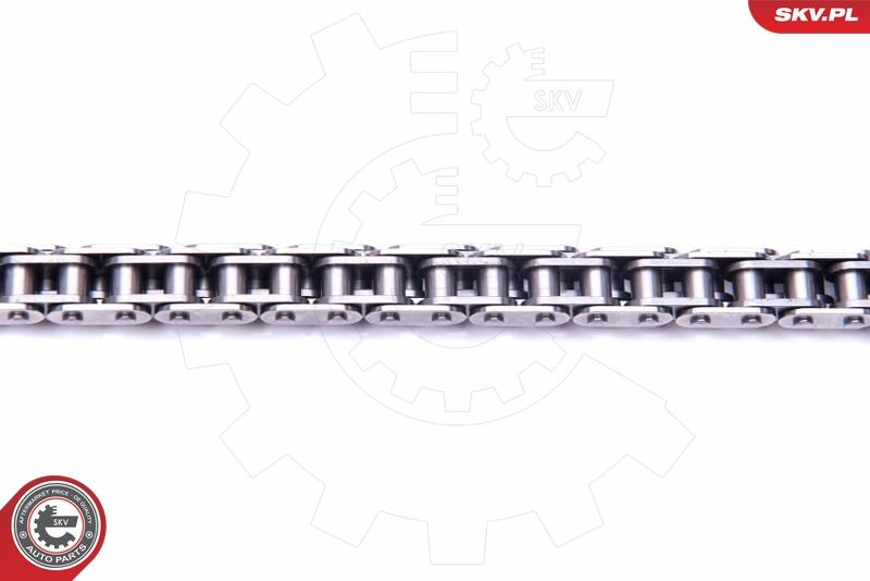 ESEN SKV 21SKV179 Timing Chain Kit