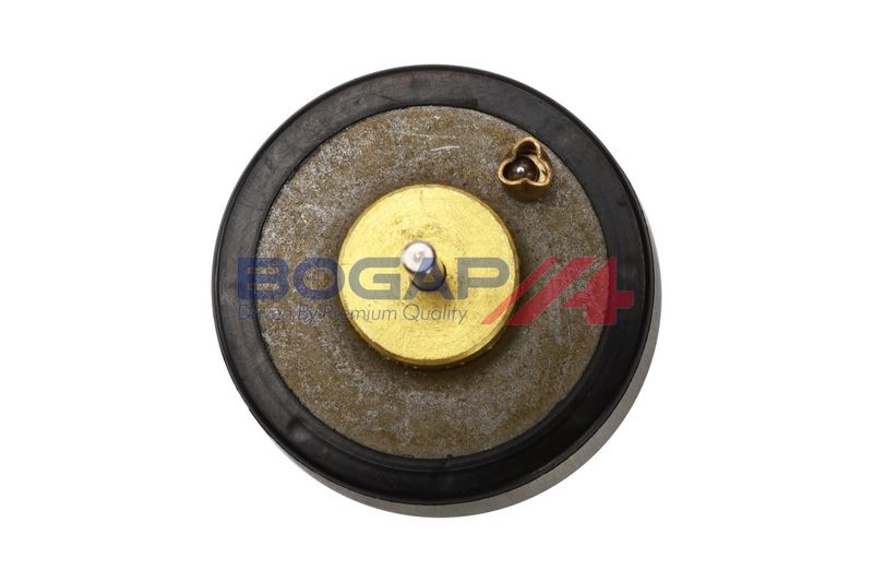 Termostato BOGAP B4246106 - 5