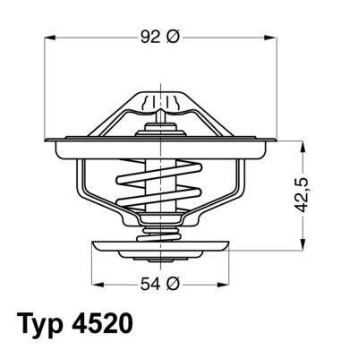 BorgWarner (Wahler) 4520.75 Thermostat, coolant