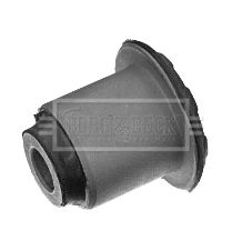 BSK6175_5004181.JPG
