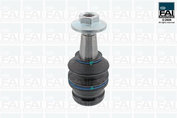 FAI AutoParts Šarnyras / girgždukas