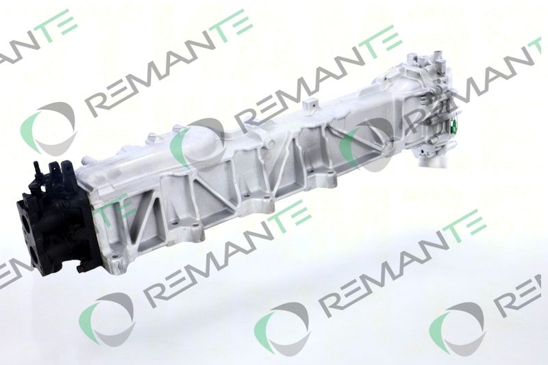 REMANTE 010-001-000019R EGR Module