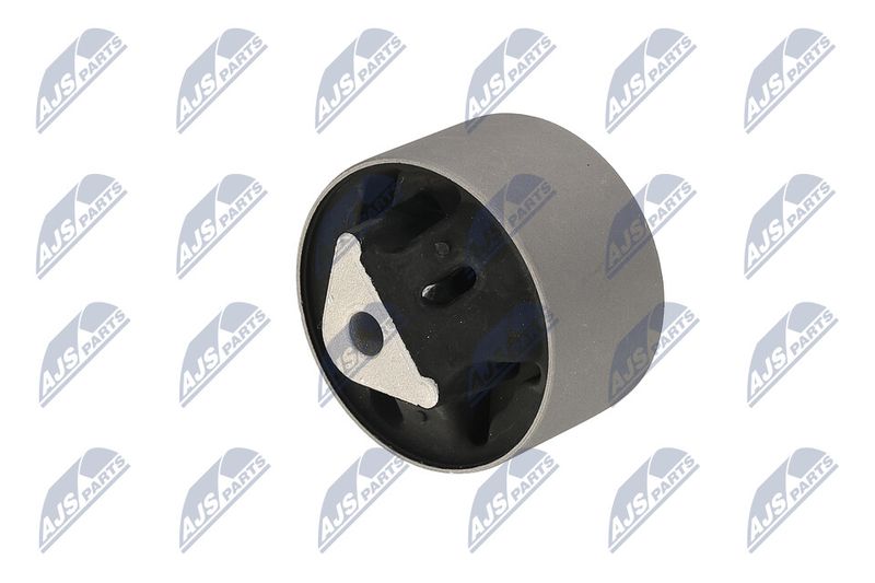 Paigutus, Mootor, NTY ZPS-CH-039