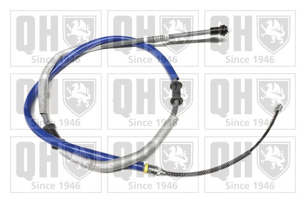 QH_BC3227.JPG